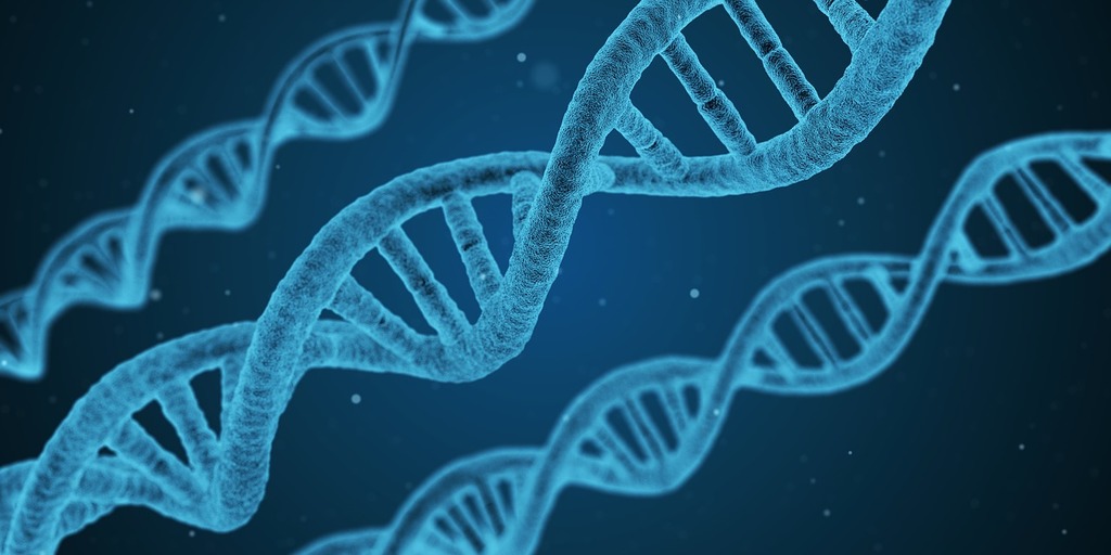 Genetic Aging Research VGLL3